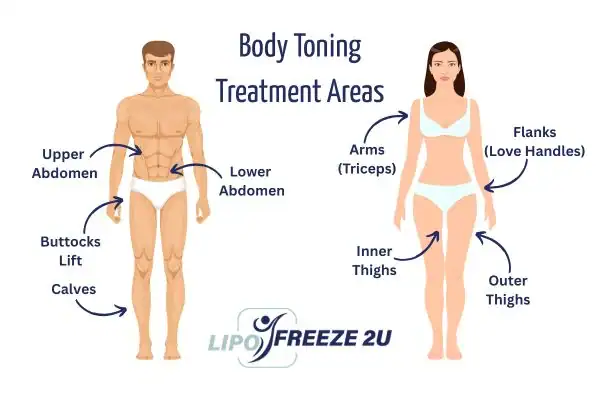 Graphic showing where you can have Body toning Treatment Basingstoke on your body